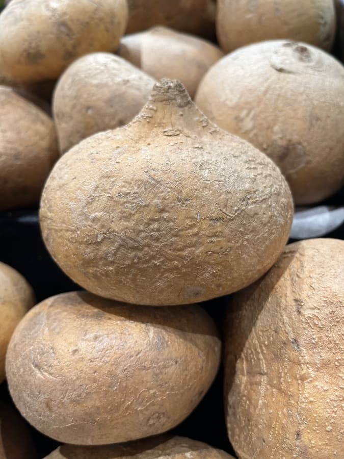 Jicama